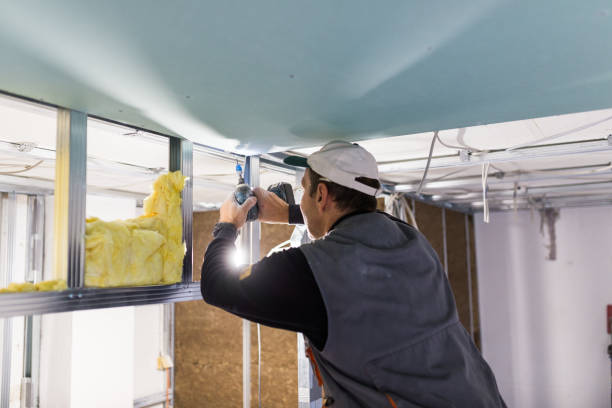 Best Garage Insulation Installation  in Dickson, OK